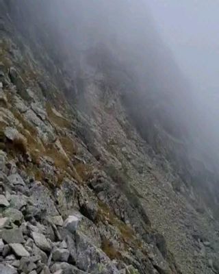 #niznewahlenbergovopleso #vysnewahlenbergovopleso #furkotskadolina #vysoketatry #vyhlady #view #vyvetrajsa #priroda #tatry...